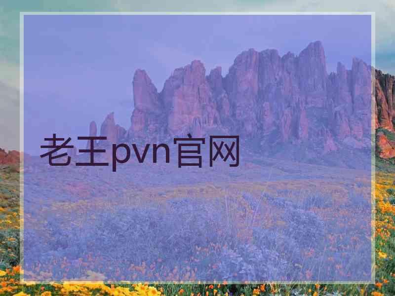 老王pvn官网