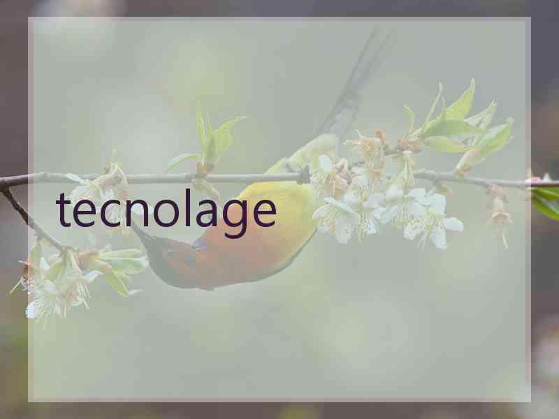 tecnolage