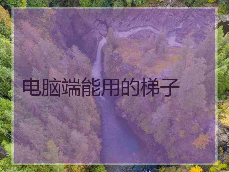 电脑端能用的梯子