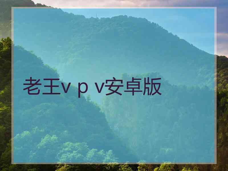 老王v p v安卓版