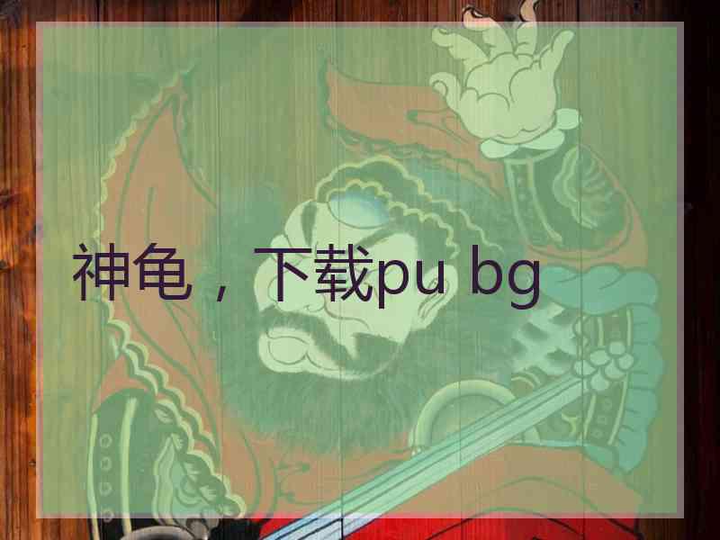 神龟，下载pu bg