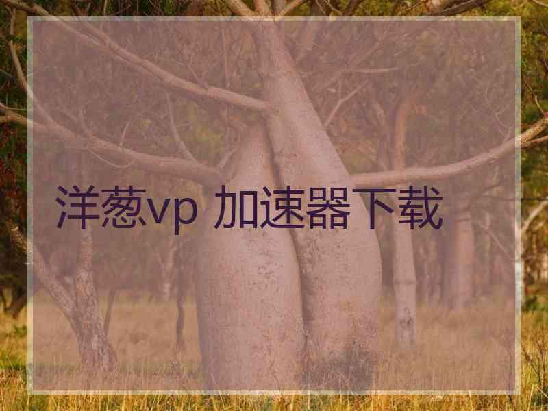 洋葱vp 加速器下载