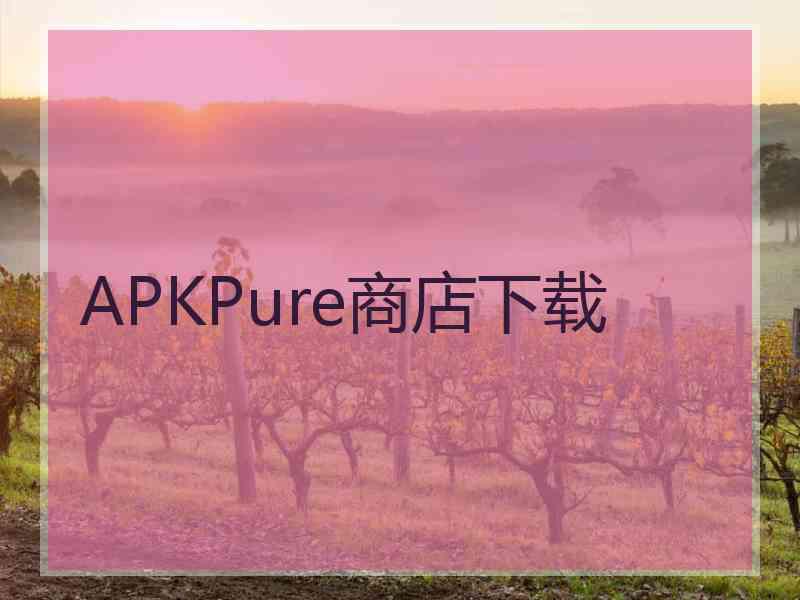 APKPure商店下载