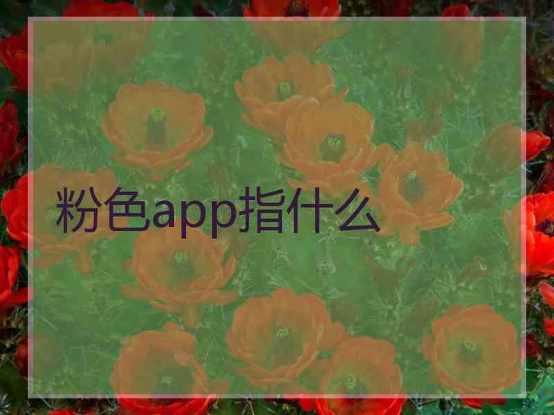 粉色app指什么