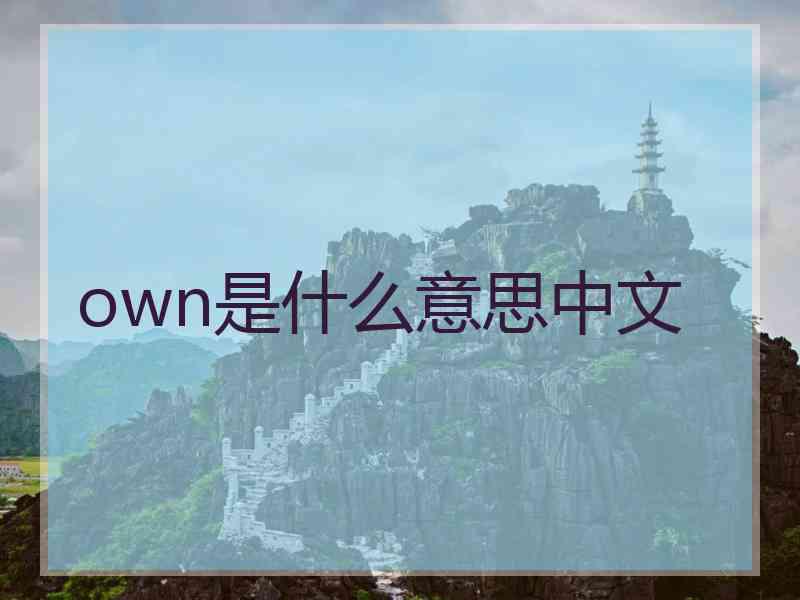 own是什么意思中文