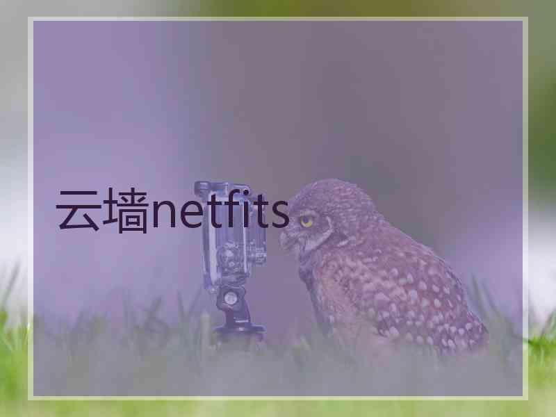 云墙netfits