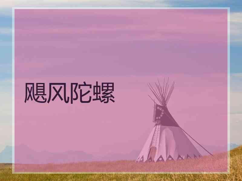飓风陀螺