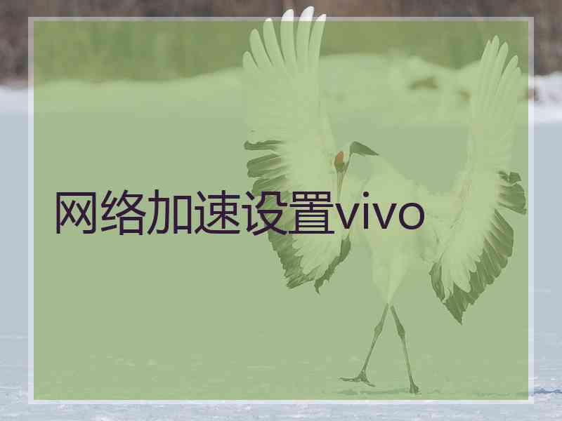 网络加速设置vivo