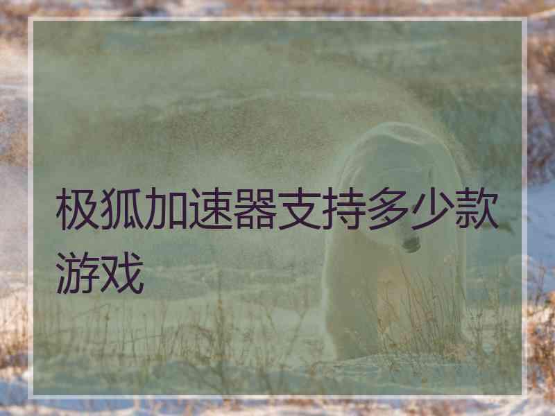 极狐加速器支持多少款游戏