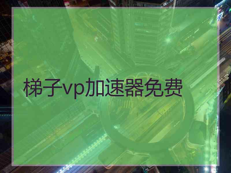 梯子vp加速器免费