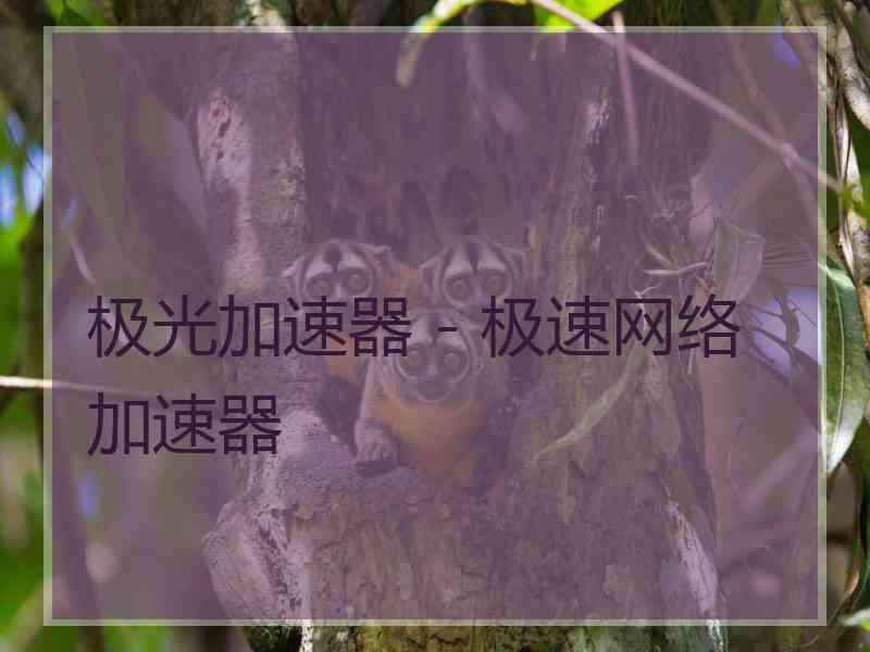 极光加速器 - 极速网络加速器