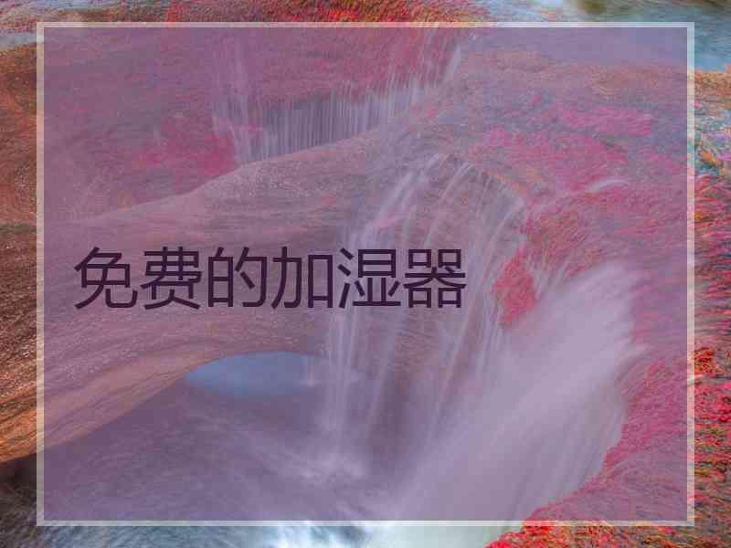 免费的加湿器