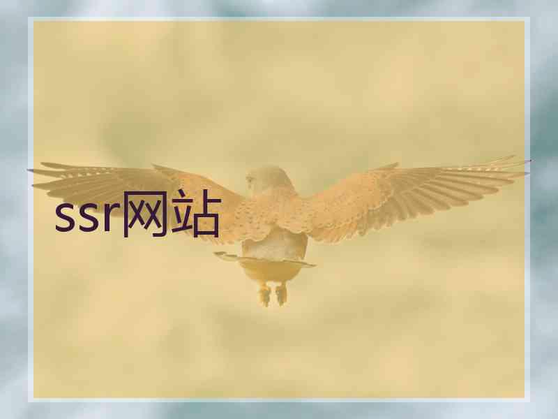ssr网站