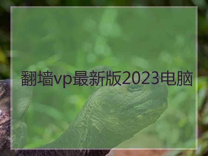 翻墙vp最新版2023电脑