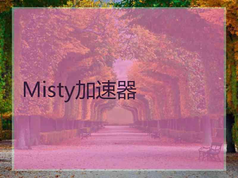 Misty加速器