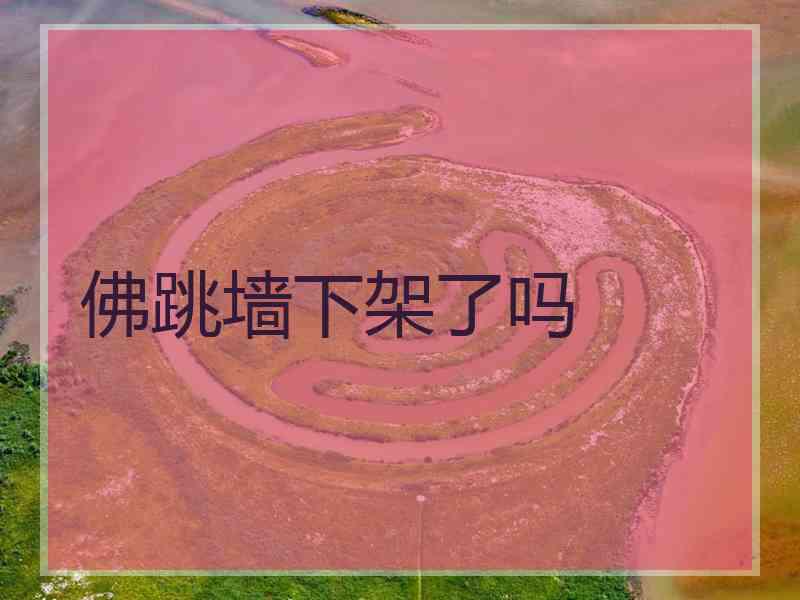 佛跳墙下架了吗