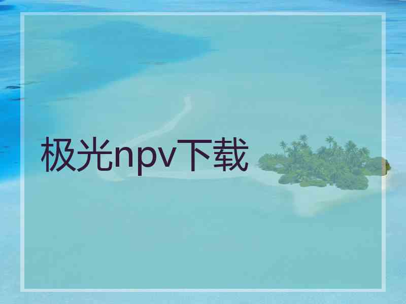 极光npv下载