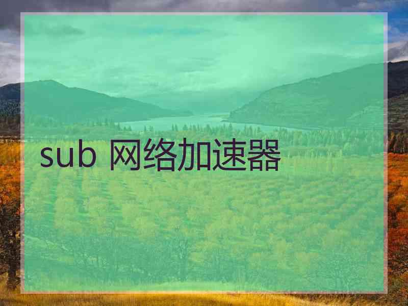 sub 网络加速器