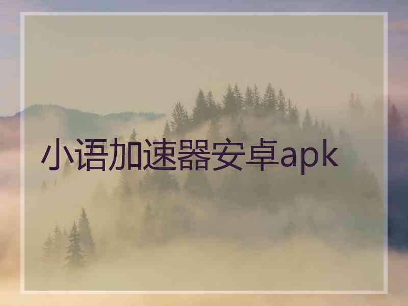 小语加速器安卓apk