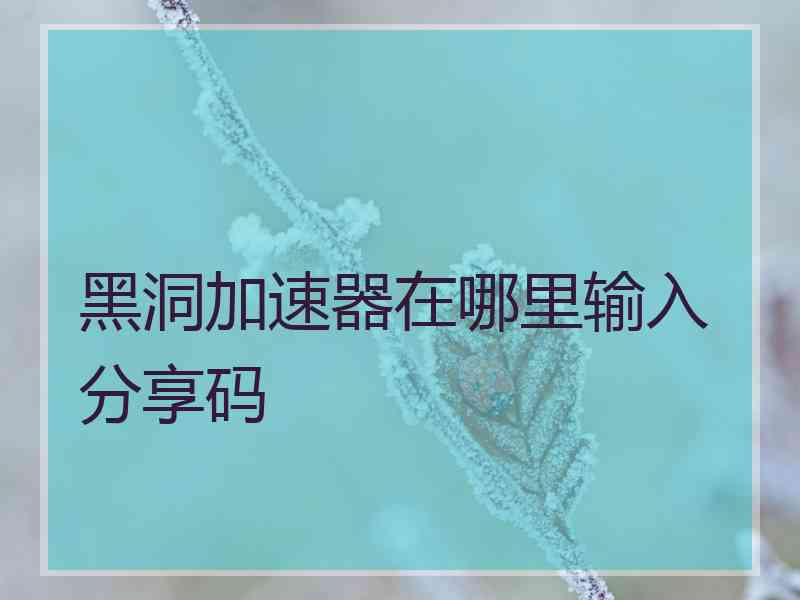 黑洞加速器在哪里输入分享码
