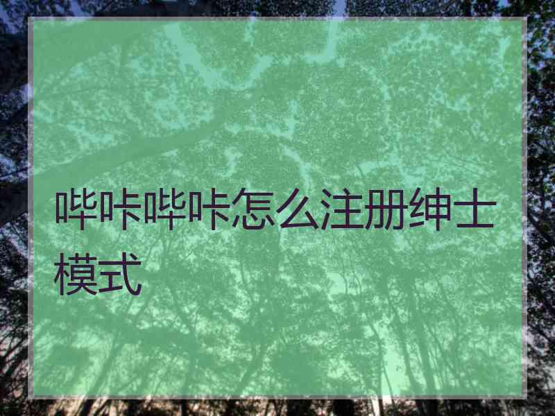 哔咔哔咔怎么注册绅士模式