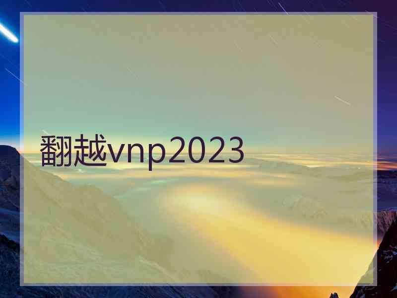 翻越vnp2023