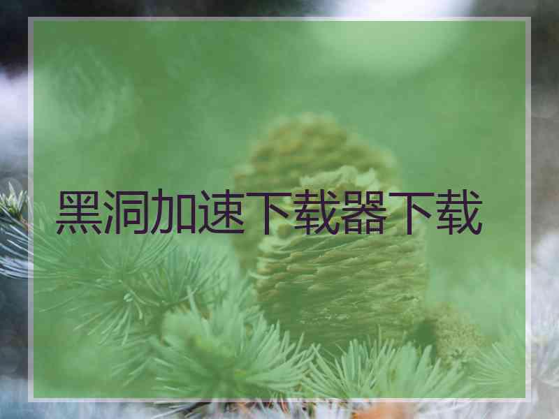 黑洞加速下载器下载