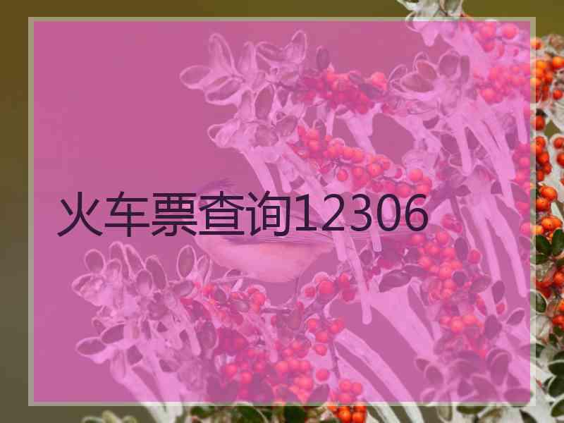 火车票查询12306