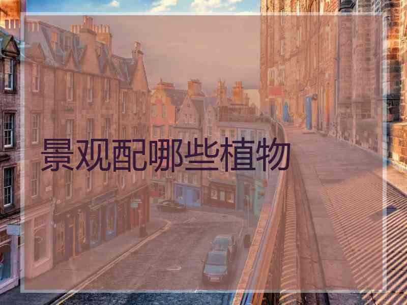 景观配哪些植物