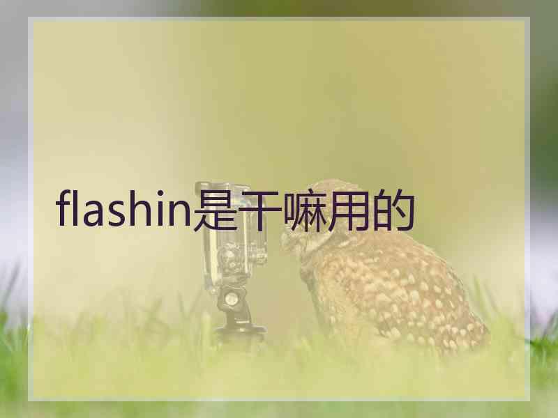 flashin是干嘛用的