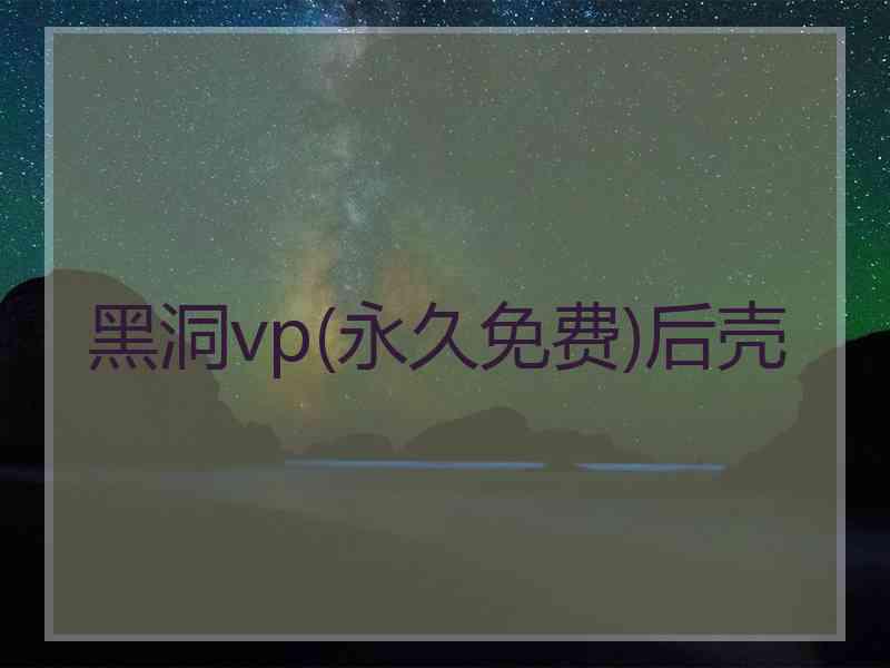 黑洞vp(永久免费)后壳