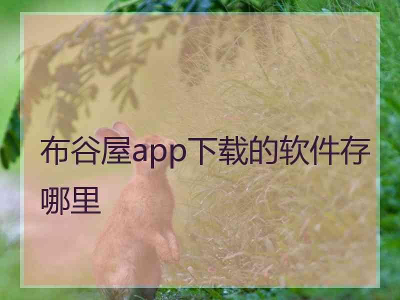 布谷屋app下载的软件存哪里