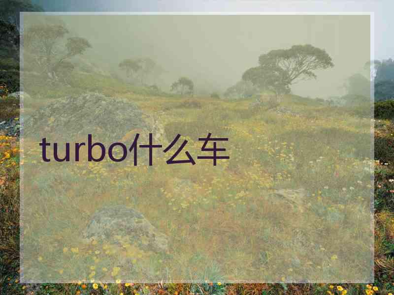 turbo什么车