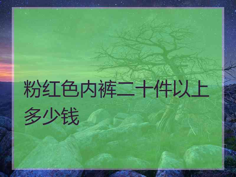 粉红色内裤二十件以上多少钱