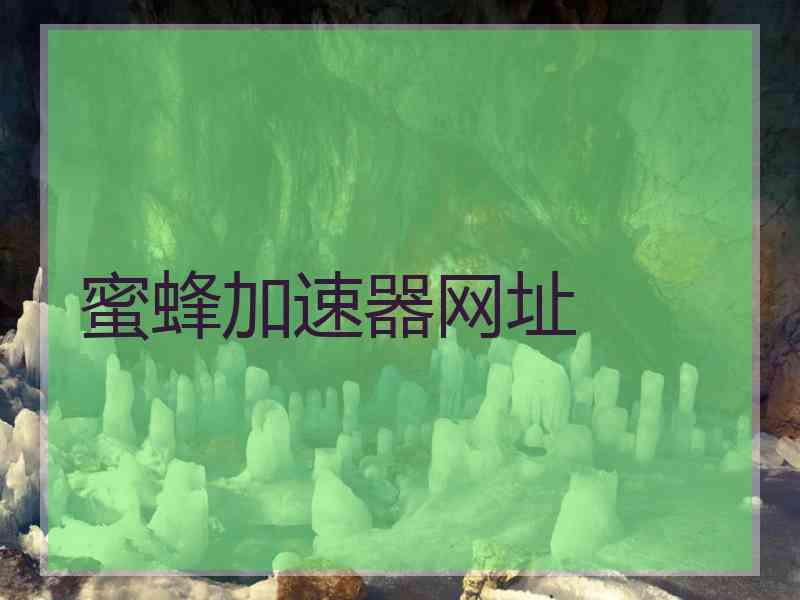 蜜蜂加速器网址