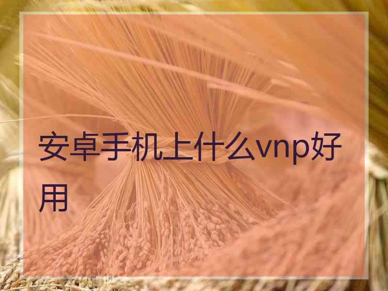 安卓手机上什么vnp好用