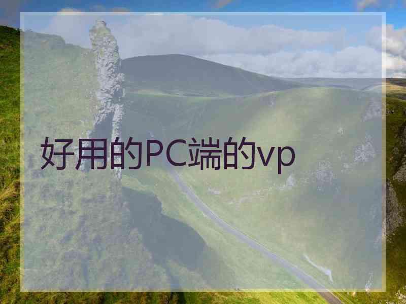 好用的PC端的vp