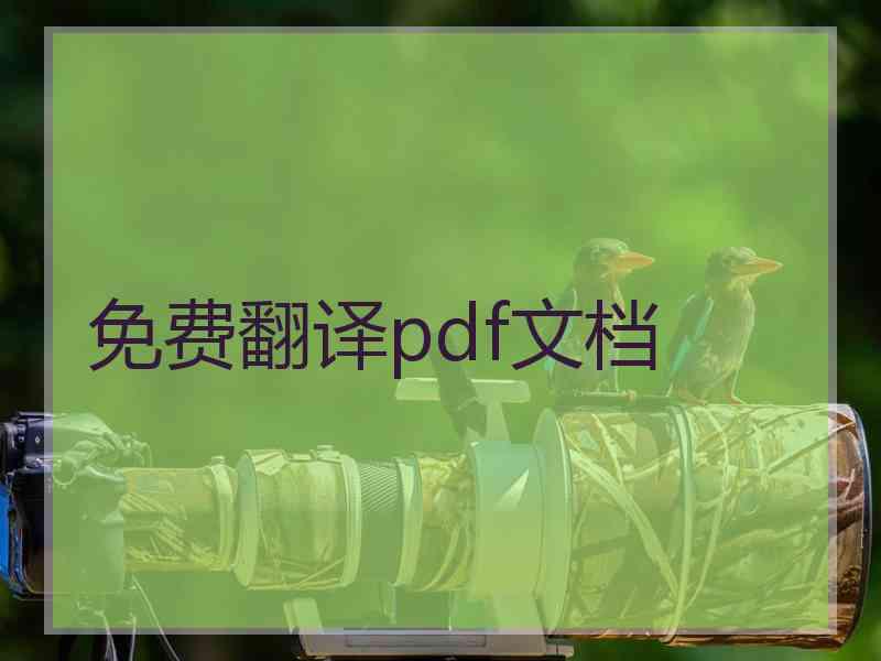 免费翻译pdf文档