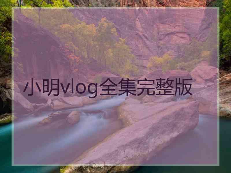 小明vlog全集完整版