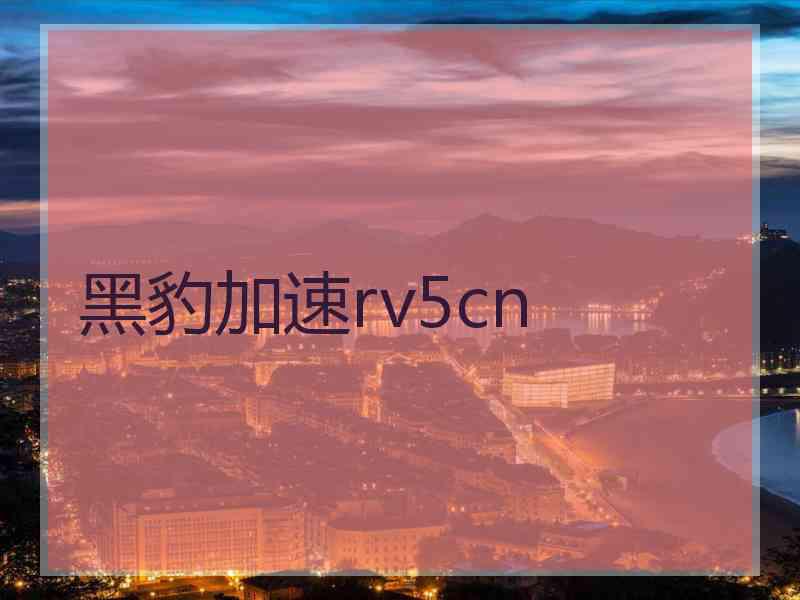 黑豹加速rv5cn