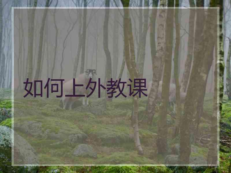 如何上外教课