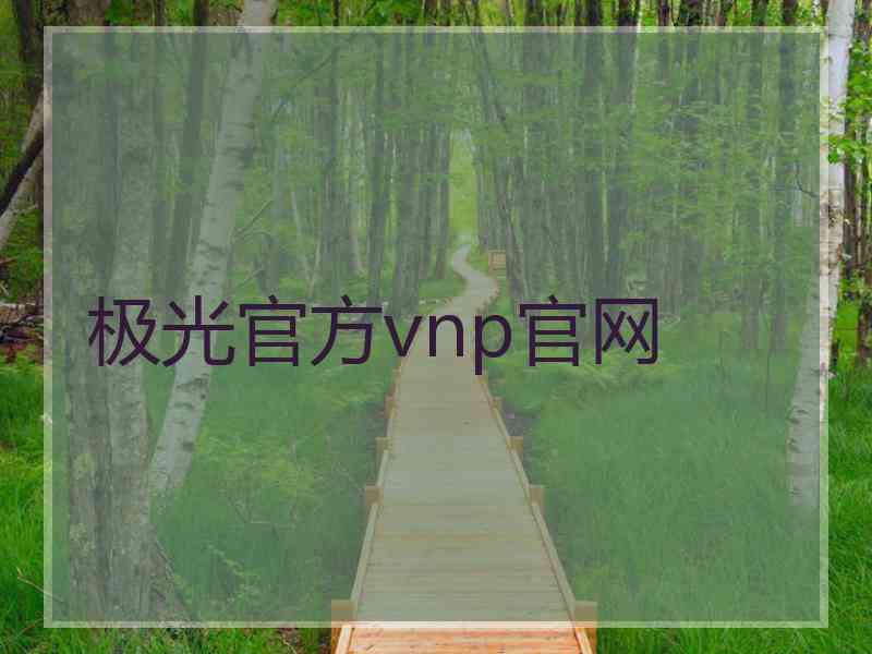 极光官方vnp官网