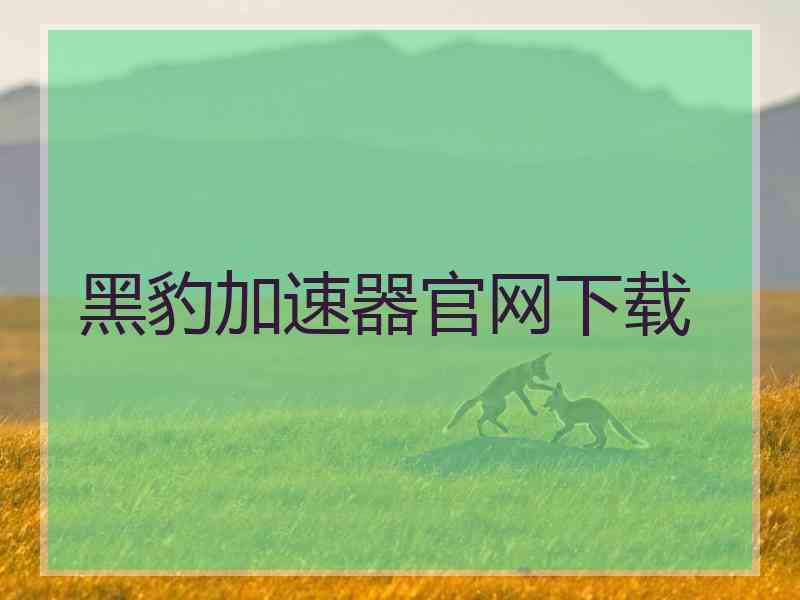 黑豹加速器官网下载