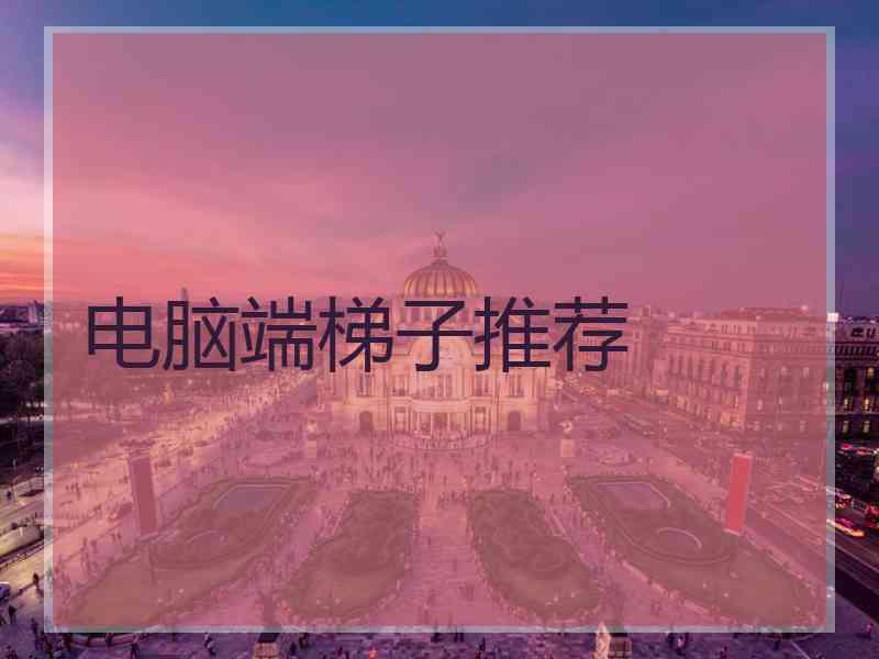 电脑端梯子推荐