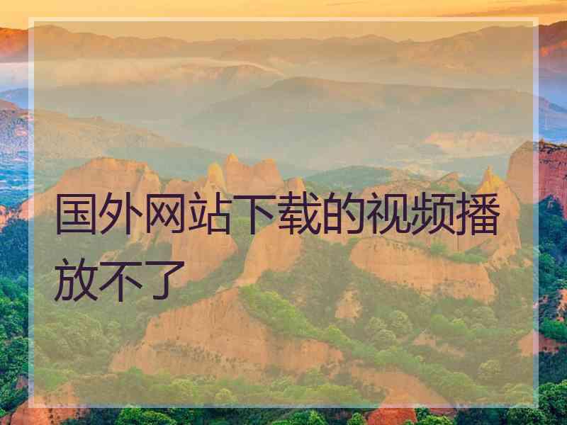 国外网站下载的视频播放不了