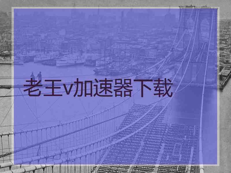 老王v加速器下载