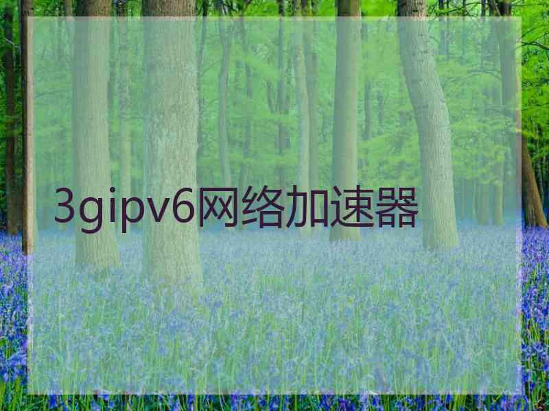 3gipv6网络加速器