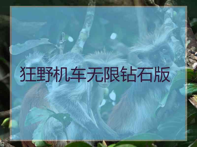 狂野机车无限钻石版