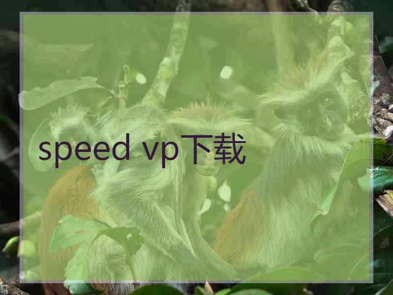 speed vp下载