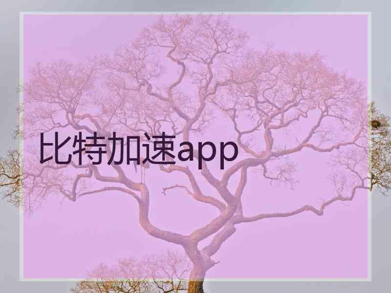 比特加速app